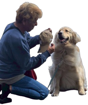 わんちゃんと飼い主